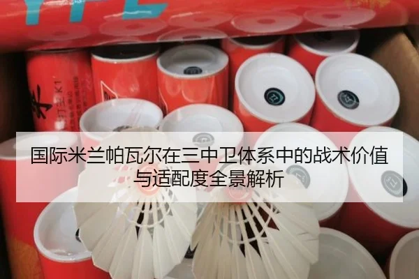 国际米兰帕瓦尔在三中卫体系中的战术价值与适配度全景解析